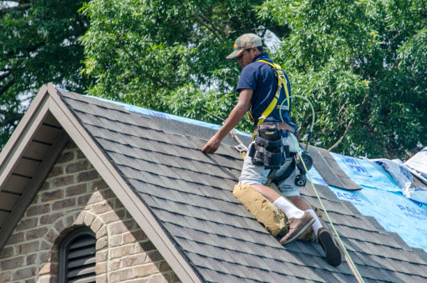Best Roof Gutter Cleaning  in South Creek, WA